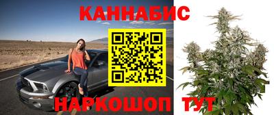 сатива Обь