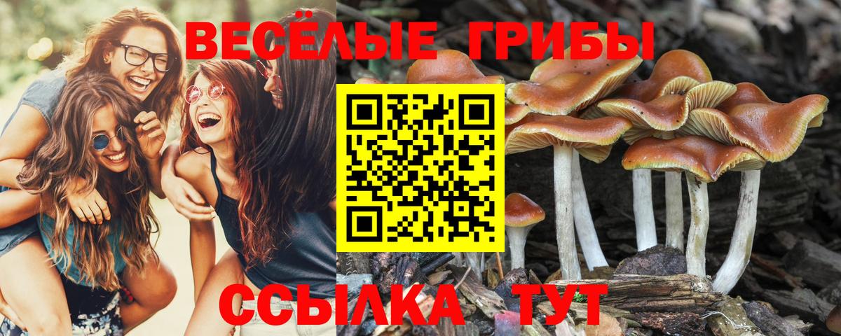 Галлюциногенные грибы ЛСД Иркутск