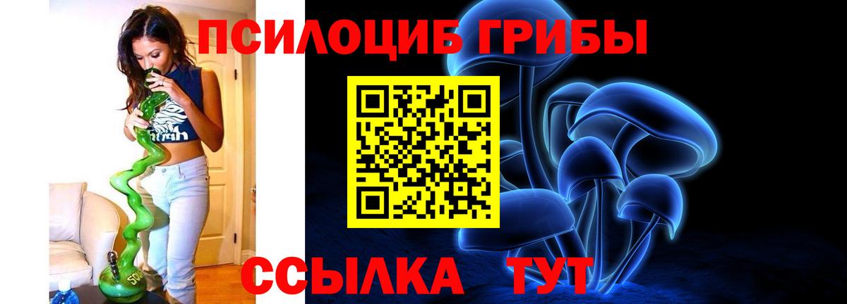 Иркутск  Галлюциногенные грибы Psilocybe  Псилоцибиновые грибы Cubensis  Вход с VPN 